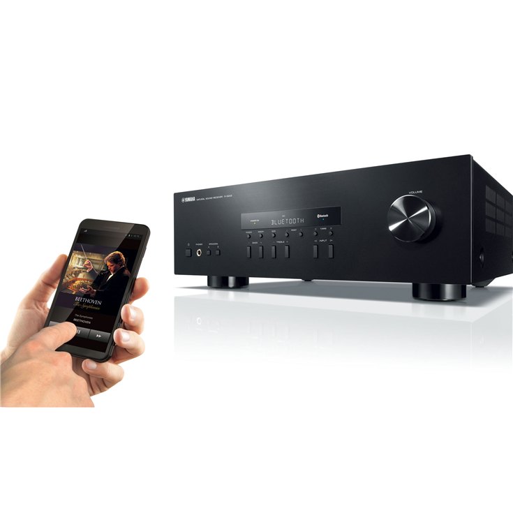 Yamaha R-S202 Stereo Receiver + Yamaha NS-F51 Floorstanding Speakers - Pair (Black)