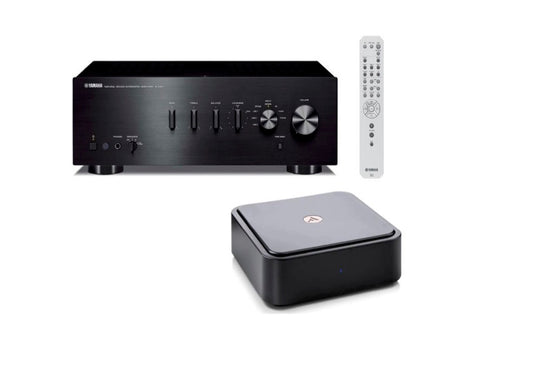 Yamaha A-S301 Intergrated Amplifier (Black) + Argon Audio Argon Solo Music Streamer (Black)