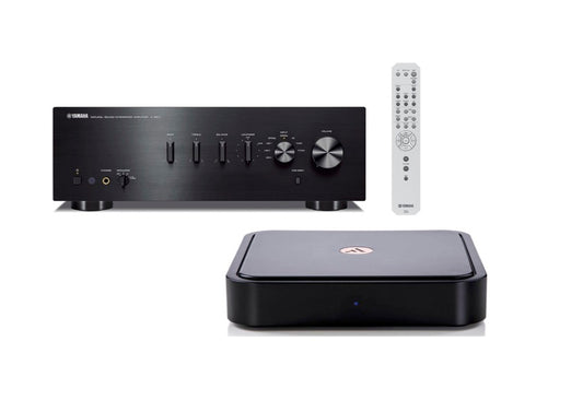Yamaha A-S501 Integrated Amplifier (Black) + Argon Audio Argon Solo Music Streamer (Black)