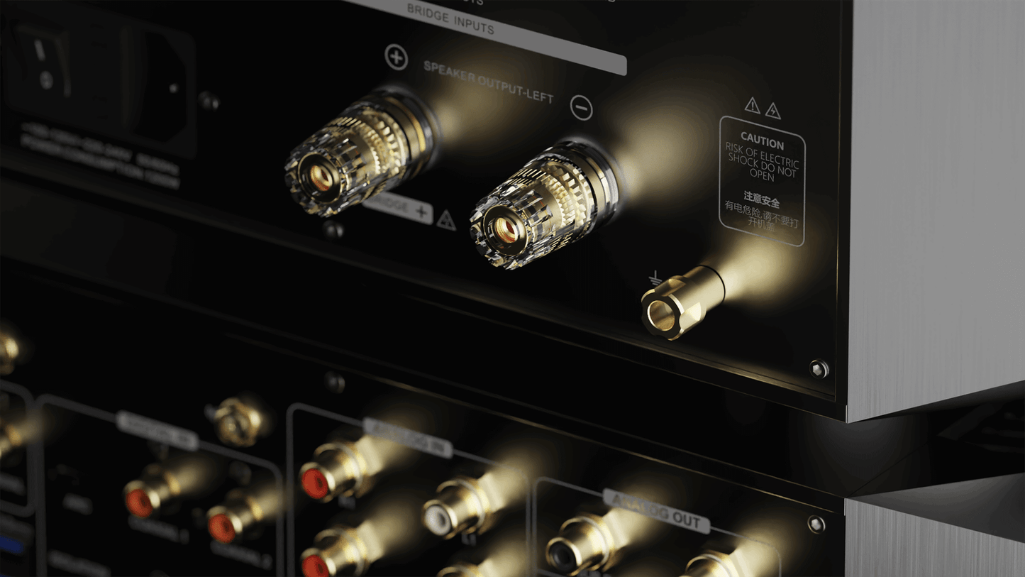 Eversolo AMP-F10 2 Channel Power Amplifier - Black