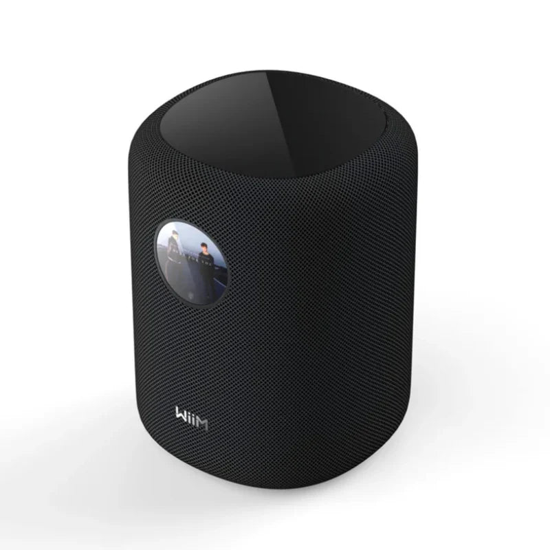 WiiM Sound Smart Wireless Speaker - Each (Black)
