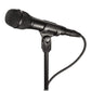 Audio-Technica AT2010 Cardioid Condenser Handheld Microphone