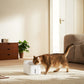 Xiaomi Smart Pet Fountain 2 - White