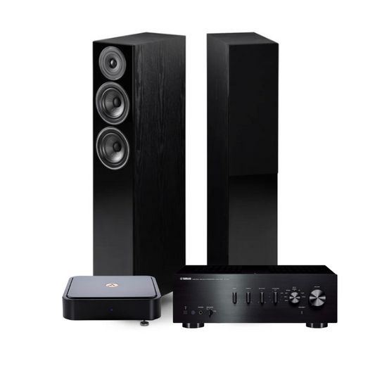 Argon Audio Argon Solo + Yamaha A-S301 Amplifier + Wharfedale Diamond 12.3 Floorstanding Speakers (Black)