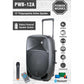 Power Works Pegasus PWB-12A Active Speaker - Each - Black