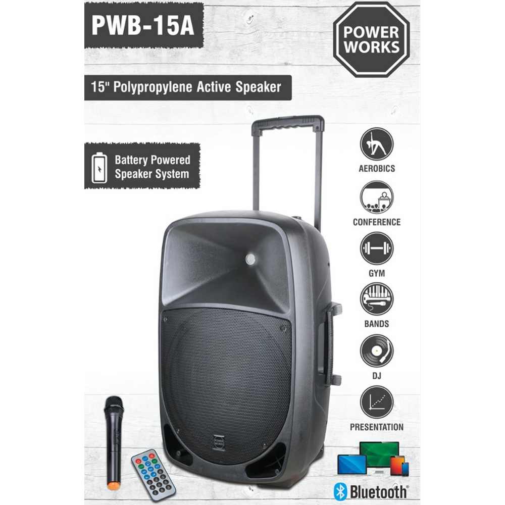 Power Works Pegasus PWB-15A Active Speaker - Each - Black