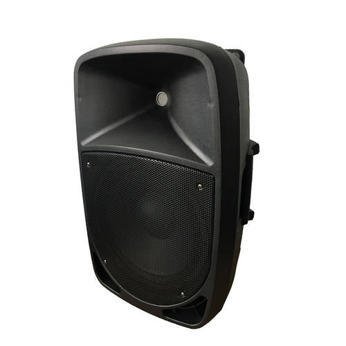 Power Works Pegasus PWB-12A Active Speaker - Each - Black