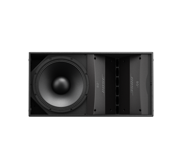 BOSE Professional ArenaMatch AM10/60 Outdoor Loudspeaker- Each - Black