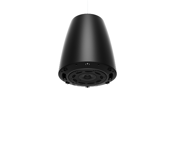 BOSE Professional DesignMax DM6PE Pendant Loudspeaker - Pair - Black